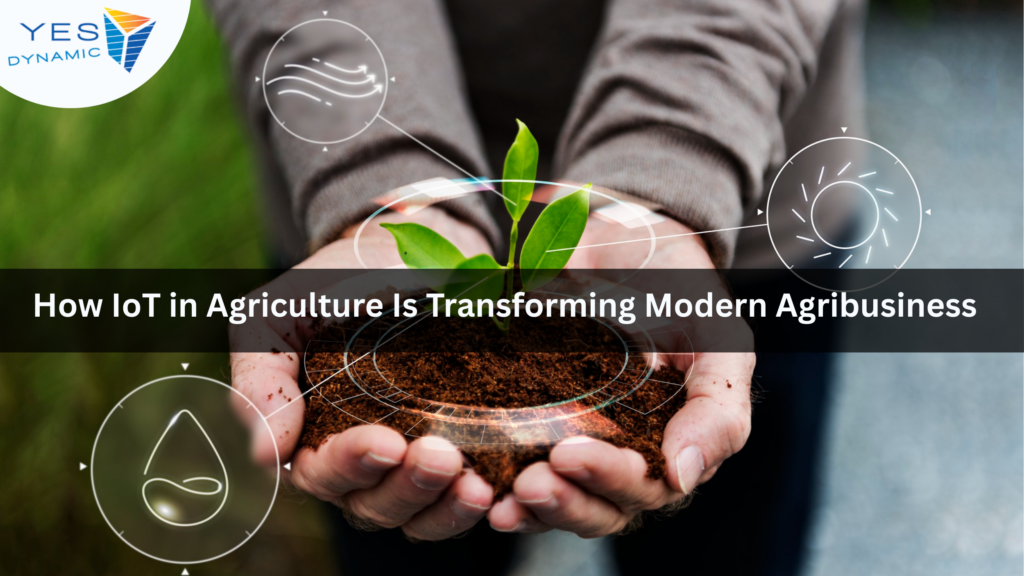 How IoT in Agriculture Is Transforming Modern Agribusiness